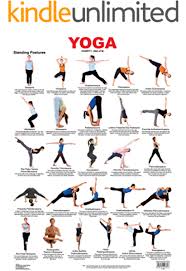 Buy Spectrum Unisex Polypropylene Yogasana Chart 3 Seating Postures 2 Online At Low Prices In India Amazon In Yoga Poses Names Postures Standing Posture