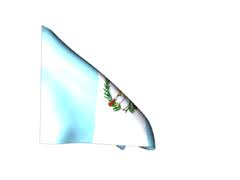 Flag Guatemala Animated Flag Gif Flag Gif Guatemala Flag Flag