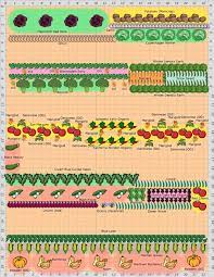 Discover 12 amazing vegetables that grow well in shade. Vegetables To Grow In Shade Growing Tips And Garden Plans The Old Farmer S Almanac