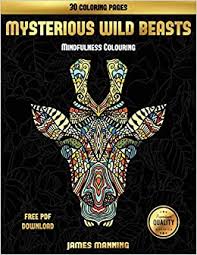 Kids can print and color pictures of gorilla, lioness, tiger and other wild animal coloring pages. Amazon Com Mindfulness Colouring Mysterious Wild Beasts A Wild Beasts Coloring Book With 30 Coloring Pages For Relaxed And Stress Free Coloring This Book Can And Printed Off To Color Individual Pages