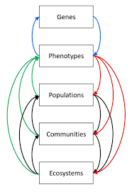 Common descent is a concept in evolutionary biology applicable when one species is the ancestor of two or more species later in time. Eco Evo Evo Eco Descent With Modification The Evolution Of A Conceptual Figure