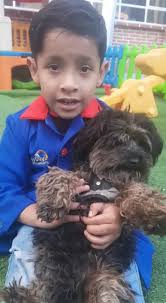 🔹🔹🔹HAPPY DAYS SOPOCACHI 🔹🔹🔹