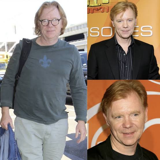 David Caruso's notable career in TV and crime dramas