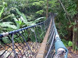 Ini kerana bukit gasing mempunyai kawasan hutan hijau yang telah diwartakan sebagai hutan simpan (hutan pendidikan bukit gasing). Bukit Gasing Kuala Lumpur Backpacking Malaysia