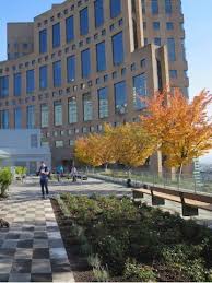 The rooftop includes some green features, like planters and trees, but is largely an open space for relaxing. Vancouver S Newest Rooftop Garden At The Vancouver Public Library