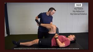 Image result for FADIR Test