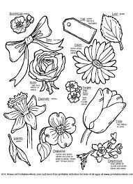 Check out our huge selection of name tags to print. Botanical Flowers With Names Flower Coloring Pages Mothers Day Baskets Sunflower Coloring Pages