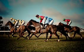 Horse racing wallpapers wallpapers we have about (3,075) wallpapers in (1/103) pages. Horse Racing Race Equestrian Sport Jockey Horses Wallpapers Hd Desktop And Mobile Backgrounds