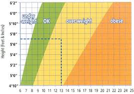 Baby Weight Chart Ireland What Is The Average Weight Of A Horse