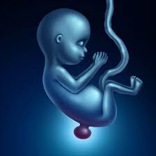 Spina Bifida Nedir Belirtileri Ve Nasil Tedavi Edilir Medicana Saglik Grubu