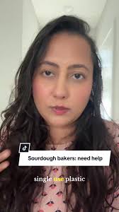 David Austin Climbing Rose: The Pilgrim