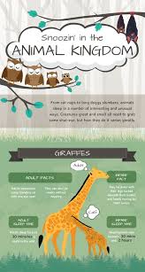 A worm has no eyes at all. Fun Facts Animal Sleep Habits Growing Family