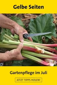 Gartenarbeit Tipps Gartenarbeit Lustig Gartenarbeit Fur Anfanger Gartenarbeit Gartenarbeit Marz In 2020 Gartenarbeit Gartenarbeit Im Marz Gartenarbeit Fur Anfanger