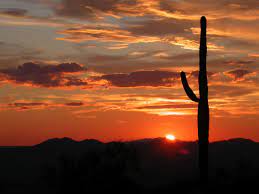 Come and stay with us and see it all for yourself! 5 Favorite Tucson Sunset Views Rv Lifestyle Tips Lazydays