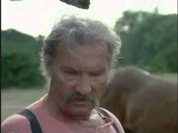 Willie Nelson Western Movie: The Icon's Impact