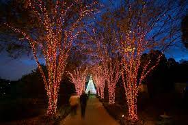 Atlanta Nov 17th At The Atlanta Botanical Garden Event Sold Out Network Under 40