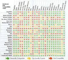 Freshwater Fish Compatibility Chart Jpg 946 837 Pixels Freshwater Fish Fish Chart Compatibility Chart