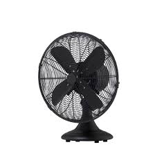 fanimation fp6274bl at trinity