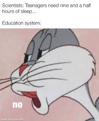It will be published if it complies with the content rules and our moderators approve it. These Looney Tunes Memes Prove Classics Never Die Looney Tunes Memes