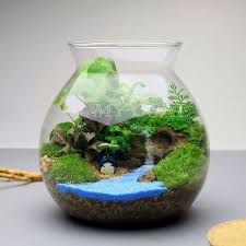 Pin De Berna Atlig Em Terrariums Indoor Container Mini Gardens Jardins Pequenos Terrarios Plantas De Interior