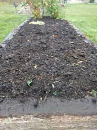 You can't argue with nature. How To Start A No Till Garden A Complete Step By Step Guide Do Not Disturb Gardening