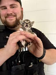 Adopting a deaf pitbull from shelter