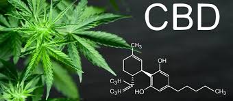 Les Vertus Du Chanvre Medicinal Le Cannabidiol Cbd Et Leur Utilisation