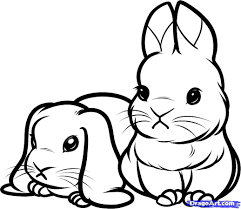 Coloring pages bunnies to color dwarf bunnies colorado easter. Printable Coloring Pages Of Baby Bunnies Bunny Drawing Cartoon Drawings Cute Bunny Cartoon