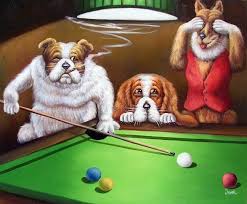 Pin On Pool Players
