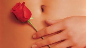 Hier siehst du, wo du american beauty mit kevin spacey legal bei dem anbieter deiner wahl streamen kannst. American Beauty 1999 Motion Picture Blog