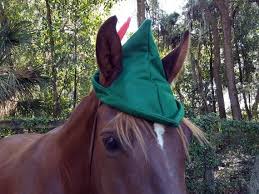 Peter Pan Robin Hood Elf Cap For Horses Fun Cloth Hat For Equines Equine Costume Horse Costumes Horses Horse Halloween Costumes