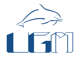 Looking for the definition of ugm? Delfines Ugm Wikipedia