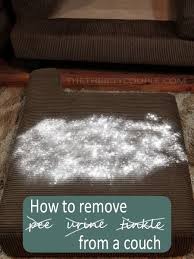 How To Remove Pee And Urine From Couch Works For Mattresses Too Diy Cleaning Products Cleaning Hacks House Cleaning Tips
