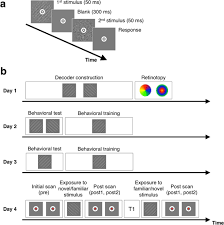 The perceptual cycle framework offers four major implications about inattentional blindness 1) environmental cues aid in the detection of stimuli by providing orienting cues but is not enough to produce awareness, 2) perception requires effortful sustained attention, interpretation, and reinterpretation, 3) implicit memory may precede conscious. Awake Suppression After Brief Exposure To A Familiar Stimulus Communications Biology
