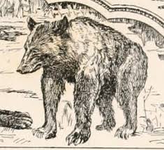 The jungle book 2 2003 colonel hathi s trumpet 2. Baloo Wikipedia
