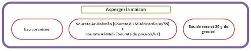 Le Remede Contre Les Maladies Occultes
