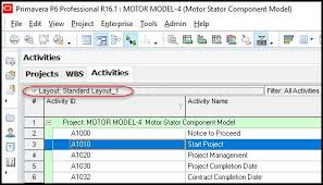 Primavera P6 Project Layout Files Plfs Explained Layout Primavera Projects