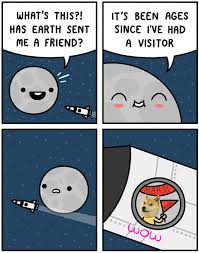 2020 top july 2020 top june 2020 top may 2020 top apr. Dogecoin The Top 10 Memes Of 2020 The Cryptonomist