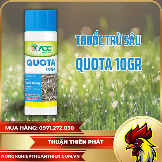 Quota 10GR