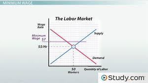 When the government imposes a minimum wage, firms are not permitted to pay less than the amount that the government mandates. Minimum Wage And Its Effects On Employment Video Lesson Transcript Study Com