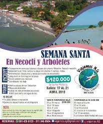 Así fue la impresionante erupción de volcán de lodo en necoclí, antioquia. Viajemos Ng Excursion Necocli Y Arboletes Tarifa Facebook