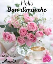 BON DIMANCHE  TOUTES ET TOUS (SURTOUT TOUTES) : r/Dinosaure