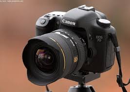 Top 10 Best Professional Cameras In 2020 Review Best Professional Camera Best Camera For Photography Olympus Camera From beginner, to intermediate and pro best cheap camera deals.