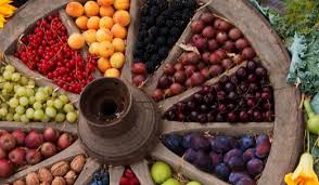 Obst im eigenen garten zu ernten, macht nicht nur großen spaß, es hält auch gesund. Munchen Nymphenburg Obst In Hulle Und Fulle Erntedank Ausstellung Im Botanischen Garten 18 09 2019