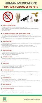 Human Medications That Are Poisonous To Pets Infographic Vet Medicine Pet Care Logo Veterinary