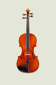 Image result for Viola