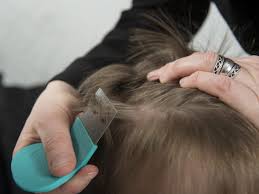 A fine tooth comb should be used to go through all of the hair, one very small section at. Signs You May Have Lice Insider