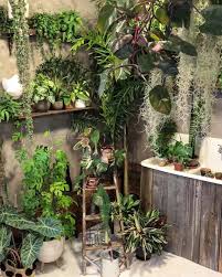 Planterina On Instagram I Am So Amazed By How Well Everything Is Doing In This Low Light Space I Think It Has Someth Plants Plant Decor Indoor Indoor Plants