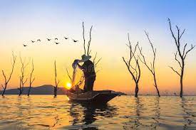 Fisherman Hold Net Prepare Catch A Fish Vintage Fisherman Catch A Fish By Net O Sponsored Affiliate Affiliate Ho Background Vintage Boats Stock Images