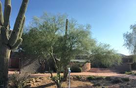 Agent:james b rolls 608 hael missouri ste 200, phoenix, az 85012 (physical). 10800 E Cactus Rd 22 Scottsdale Az 85259 Estately Mls 5658671